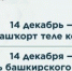 В Башкортостане пройдут праздничные мероприятия ко Дню башкирского языка - Культурный мир Башкортостана
