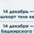 В Башкортостане пройдут праздничные мероприятия ко Дню башкирского языка - Министерство культуры