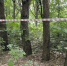 В Иглинском районе Башкирии объявили карантин по бешенству - Комсомольская правда