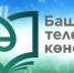 логотип День башкирского языка - Башинформ