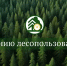 Обновлены правила подачи документов в Минлесхоз Башкортостана - Инвестиционный портал