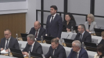 скриншот видео прямая трансляция