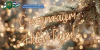 С наступающим Новым годом! - Министерство финансов