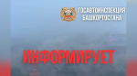 В Башкортостане из-за густого тумана ограничили движение на участке трассы Р-240  | ГТРК «Башкортостан»