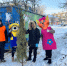Уфимцы могут принять участие в экоакции «Ёлки в щепки» - Сетевое издание Ufaved.Info