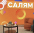 Сотрудник следственного управления принял участие в утреннем шоу "Салям" на Башкирском Спутниковом телевидении и рассказал о работе Следственного комитета - Следственный комитет