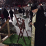 Освящение Иордани в Чесноковке - Уфимская Епархия