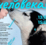 пресс-служба  УКХиБ Уфы - Башинформ