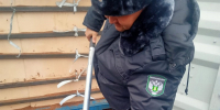 Из Башкирии в Китай отправили крупную партию продовольственного льна - Сетевое издание Республика Башкортостан