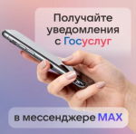 Государственные сервисы доступны в мессенджере МАХ