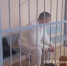 Фото и видео УФСБ России по РБ. - Сетевое издание Республика Башкортостан