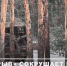 стоп-кадр видео соцсети - Башинформ