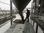 В январе маслозаводы Башкортостана экспортировали более 11 тыс. тонн подсолнечного шрота