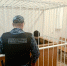 Сам себе судья - УФССП по Республике Башкортостан
