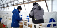 Молодым специалистам АПК Башкортостана вновь выделят по 750 тысяч рублей - Министерство сельского хозяйства