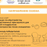 СТАРТ СЕЗОНА «ЛЕТО» В ПРОЕКТЕ «4 СЕЗОНА ДОБРЫХ ДЕЛ»! - Фонд развития города