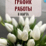 График работы стоматологических поликлиник Уфы и Стерлитамака в период празднования Международного женского дня 8 Марта - Министерство здравоохранения РБ