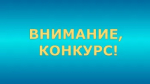 Информация о конкурсе на замещение вакантных должностей руководителей государственных учреждений, подведомственных Государственному комитету Республики Башкортостан по ветеринарии