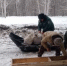 В Природном парке „Аслы-Куль“ продолжаются биотехнические мероприятия» - Минэкологии РБ