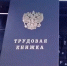 В России появится новый индикатор риска подмены трудовых отношений с самозанятыми - Министерство семьи, труда и соцзащиты населения