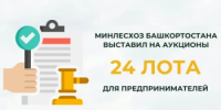 Минлесхоз Башкортостана выставил на аукционы 24 лота для предпринимателей - Министерство лесного хозяйства