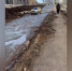 Жильцы домов по улице Нуреева в Уфе пожаловались на состояние дороги и тротуара | ГТРК «Башкортостан» - ГТРК Башкортостан
