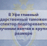 В Уфе главный государственный таможенный инспектор подозревается в получении взятки в крупном размере - Следственный комитет