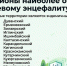 В Башкирии 42 района признаны опасными по клещевому энцефалиту - Башинформ