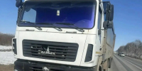 В Башкирии задержали водителя грузовика с поддельными правами - Сетевое издание Республика Башкортостан