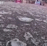 В Уфе река Белая за сутки поднялась на полтора метра - Сетевое издание Республика Башкортостан