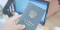 Нелегальная занятость и ее негативные последствия - Министерство торговли и услуг