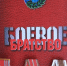 Герой Советского Союза Борис Громов наградил ветеранов Башкортостана - Ветеран Башкортостана