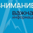 В городе Башкирии перекроют движение из-за кронирования деревьев - Башинформ