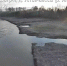 За сутки уровень воды в реке Уфе у Шакши поднялся на 34 сантиметра | ГТРК «Башкортостан» - ГТРК Башкортостан