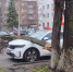 В Уфе зафиксировали более 10 случаев падения деревьев | ГТРК «Башкортостан» - ГТРК Башкортостан