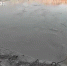 Паводковыми водами подтопило 60 приусадебных участков и 3 моста в Башкирии | ГТРК «Башкортостан» - ГТРК Башкортостан