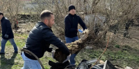 В Уфе на общегородской субботник вышли 67,5 тысячи человек - Башинформ