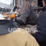 В Уфе водитель попал под колёса своего же грузовика - Сетевое издание Республика Башкортостан