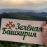 Весенняя акция «Зелёная Башкирия» пройдёт 18 апреля - Общественная палата РБ