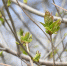 В Башкирии в выходные местами пройдут кратковременные дожди - Комсомольская правда
