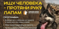 В Бирске состоится фестиваль «Ищу человека — протяни руку лапам!» - Башинформ