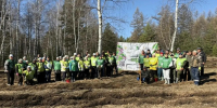 В Башкирии за день посадили 2100 крупномерных деревьев и 84000 кустарников - Башинформ