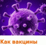 Прививки – это важный инструмент профилактики инфекционных заболеваний. Но как именно они работают? - ГАУЗ РВФД