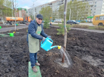 Депутаты и работники Секретариата участвуют во Всероссийском субботнике
