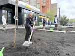 Депутаты и работники Секретариата участвуют во Всероссийском субботнике