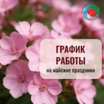 Как будут работать больницы Башкирии в майские праздники