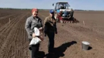 В районе Башкирии испытают сорта зерновых и кормовых трав