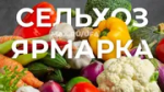 В Уфе горожан приглашают на сельхозярмарки