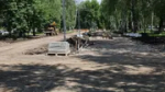 В Стерлитамаке в Башкирии по нацпроекту блогоустроят территории