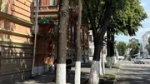 В Уфе на Советской старые деревья заменят новыми крупномерными липами